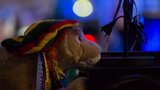 aleksikinnunen asmsummer15 _A7C7772.jpg by Perjantai